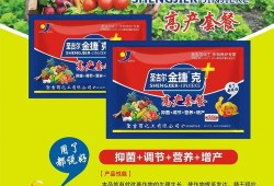 新闻直通车爆料最新消息,最新热点事件深度解析